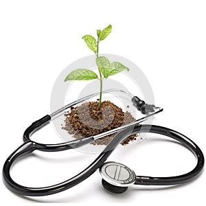 Stethoscope and plant