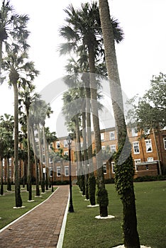 Stetson University in DeLand