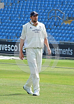 Steve Harmison