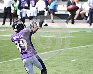 Steve Smith, Sr.