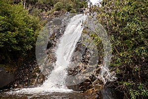 Stevenson Falls in Victoria, Australia photo