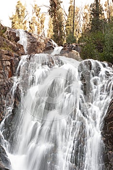 Stevenson Falls in the Yarra Valley