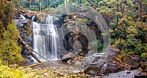Stevensons Falls in the Great Otways National Park. photo