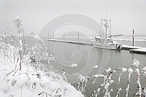 Steveston Dock Winter Snow