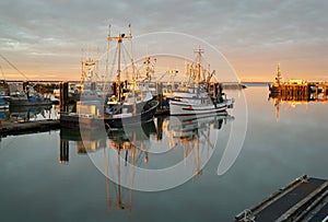 Steveston Fishboats at Dawn