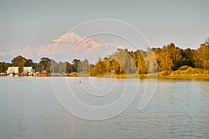 Steveston Harbor Kayaker and Mount Baker