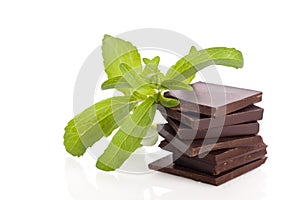 Stevia as ingredient for chocolate