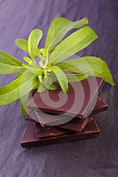 Stevia as ingredient for chocolate