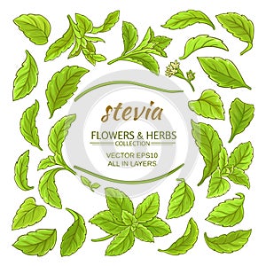 Stevia elements vector set