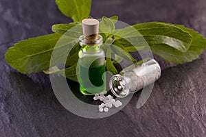 Stevia essence and globule
