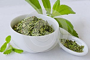 Stevia Fresh and Dried Leaves.