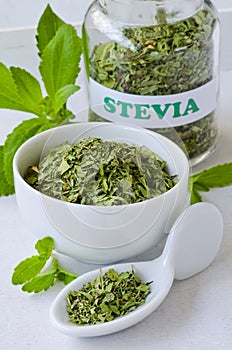 Stevia Fresh and Dried Leaves.