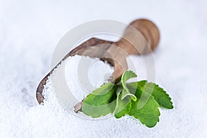 Stevia (granular; selective focus)