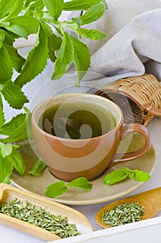 Stevia Infusion.