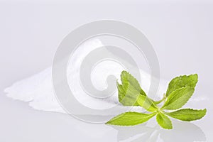 Stevia leaf extract powder - Stevia rebaudiana