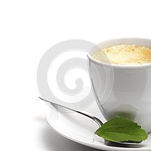 Stevia plant and coffee cup photo