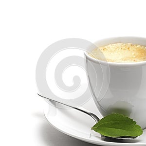 Stevia plant and coffee cup