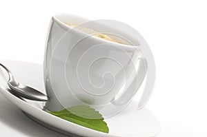 Stevia plant and coffee cup photo