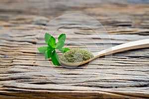 Stevia powder in wooden spoon