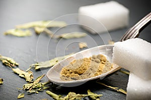 Stevia rebaudiana bertoni powder photo