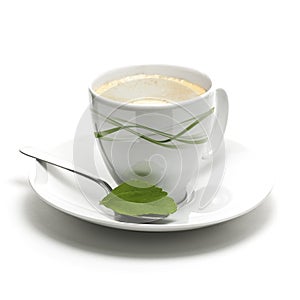 Stevia rebaudiana and coffee cup photo