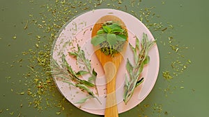 Stevia rebaudiana.Fresh and dried crushed stevia leaves in a wooden spoon on a pink podium on a green background