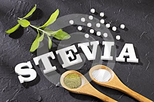 Stevia rebaudiana - Natural organic sweetener. White background