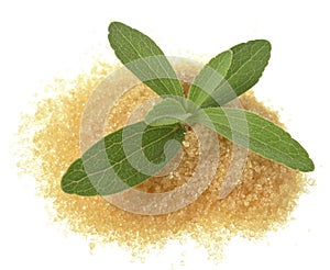 Stevia rebaudiana with a sugar