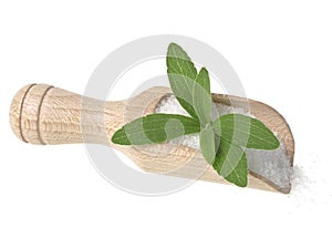 Stevia rebaudiana with a sugar on white background