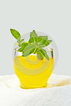 Stevia rebaudiana, support for sugar