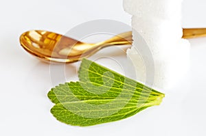 Stevia rebaudiana, support for sugar