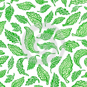 Stevia seamless pattern. Vector fresh organic leaf