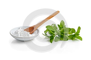 Stevia or Sweet Herb photo