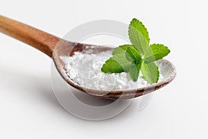 Stevia or Sweet Herb photo