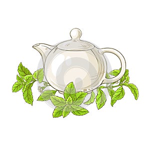 Stevia tea illustration