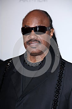 Stevie Wonder