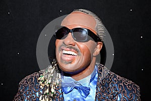 Stevie Wonder