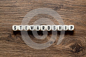 Stewardship - word concept on building blocks, text