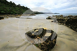 Stewart island beaches