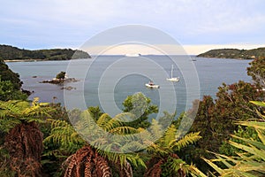 Stewart Island, New Zealand. Horseshoe Bay