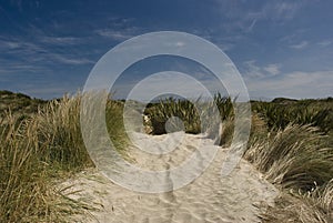 Stewart Island sand dunes photo