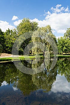 Stewart Park, a view of the willow trees surrounded by other trees, reflected on pond in summer. Perth, Ontario, Canada.