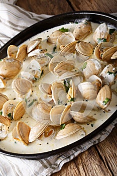 Stewed clams in creamy sauce with herbs close-up. Vertical