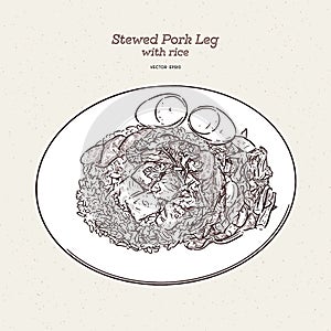 Stewed pork leg rice with egg in Brown sweet sauce, hand draw sketch vector