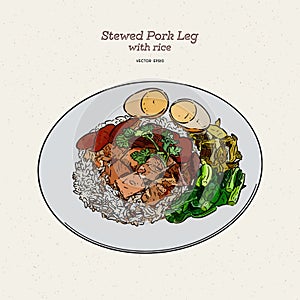 Stewed pork leg rice with egg in Brown sweet sauce, hand draw sketch vector