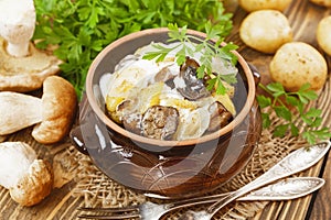 Stewed potatoes with mushrooms and sour cream