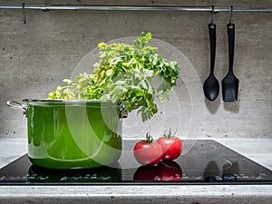 Stewpot with vegetables on induction cooker