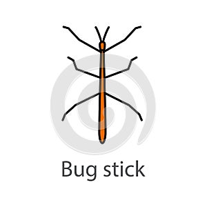 Stick bug color icon photo