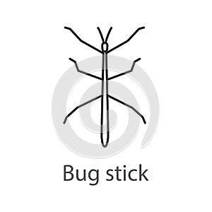 Stick bug linear icon photo
