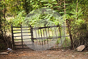 A stick door at  a sheep farm